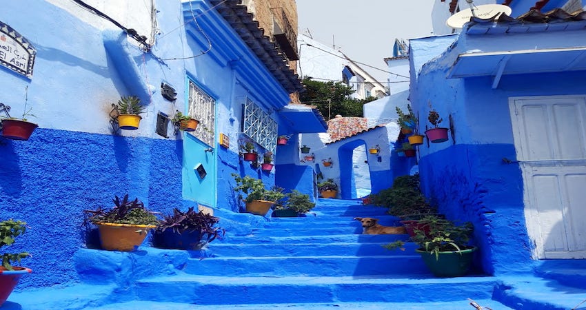 Fes to Chefchaouen day trip